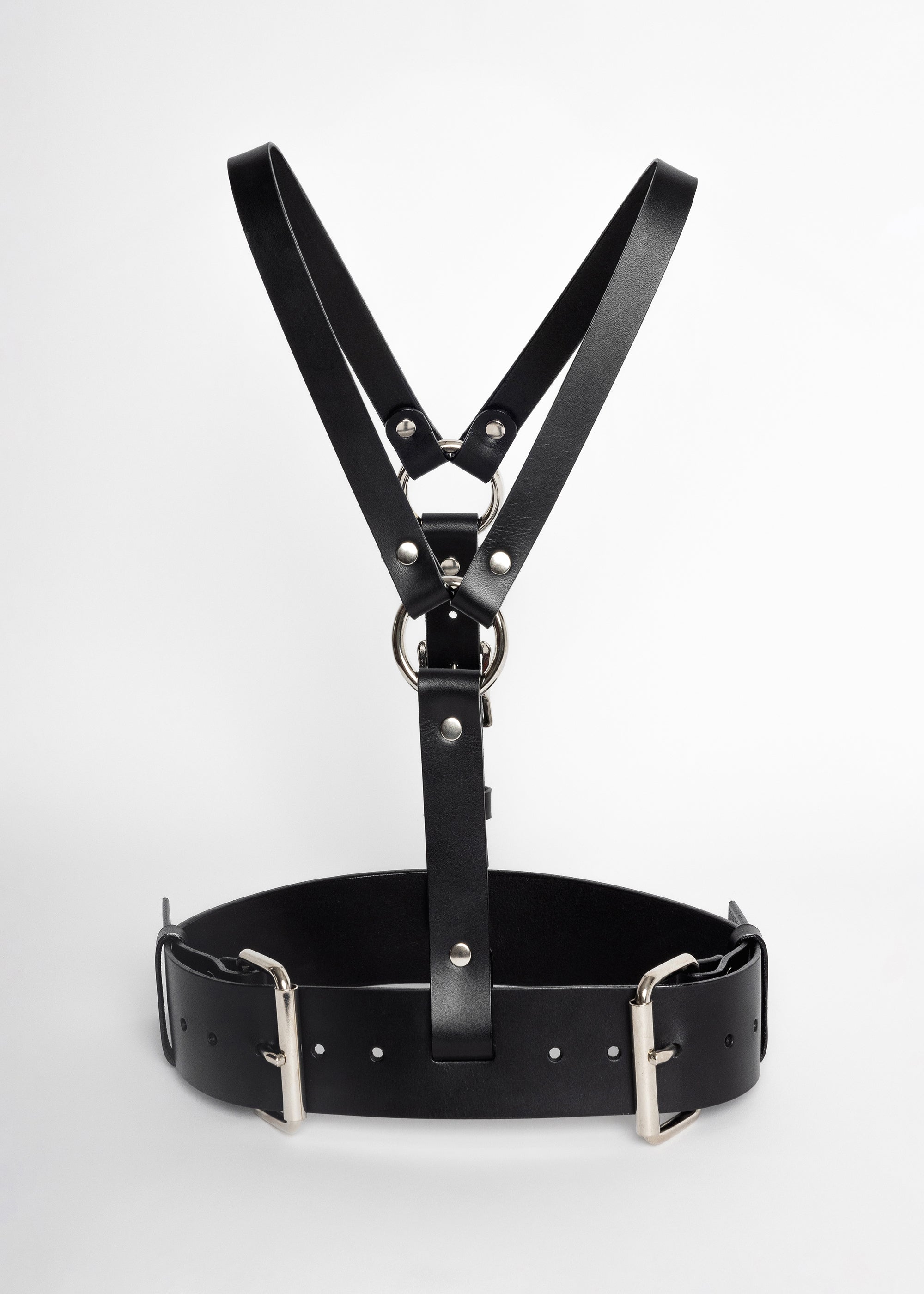 Gemini Harness