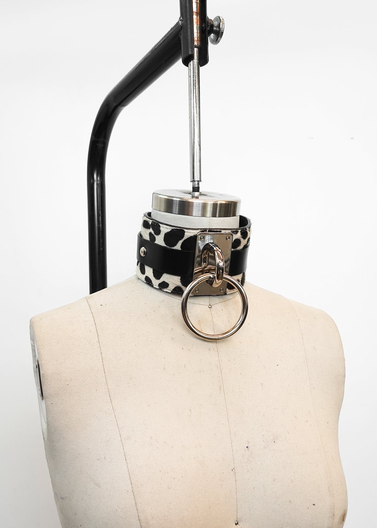 Choker Collar (2.5”)
