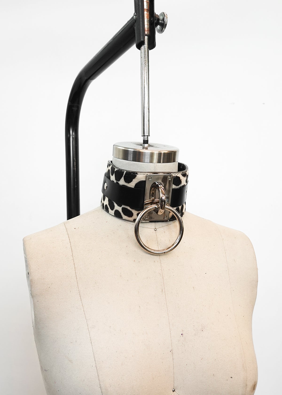 Choker Collar (2.5”)