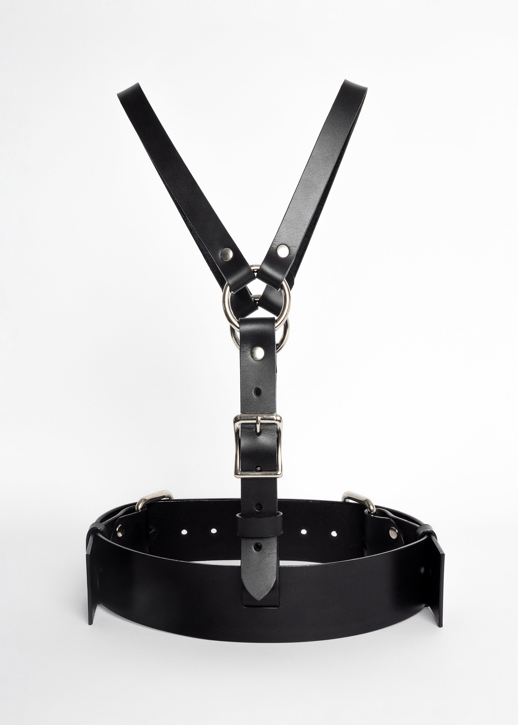 Gemini Harness