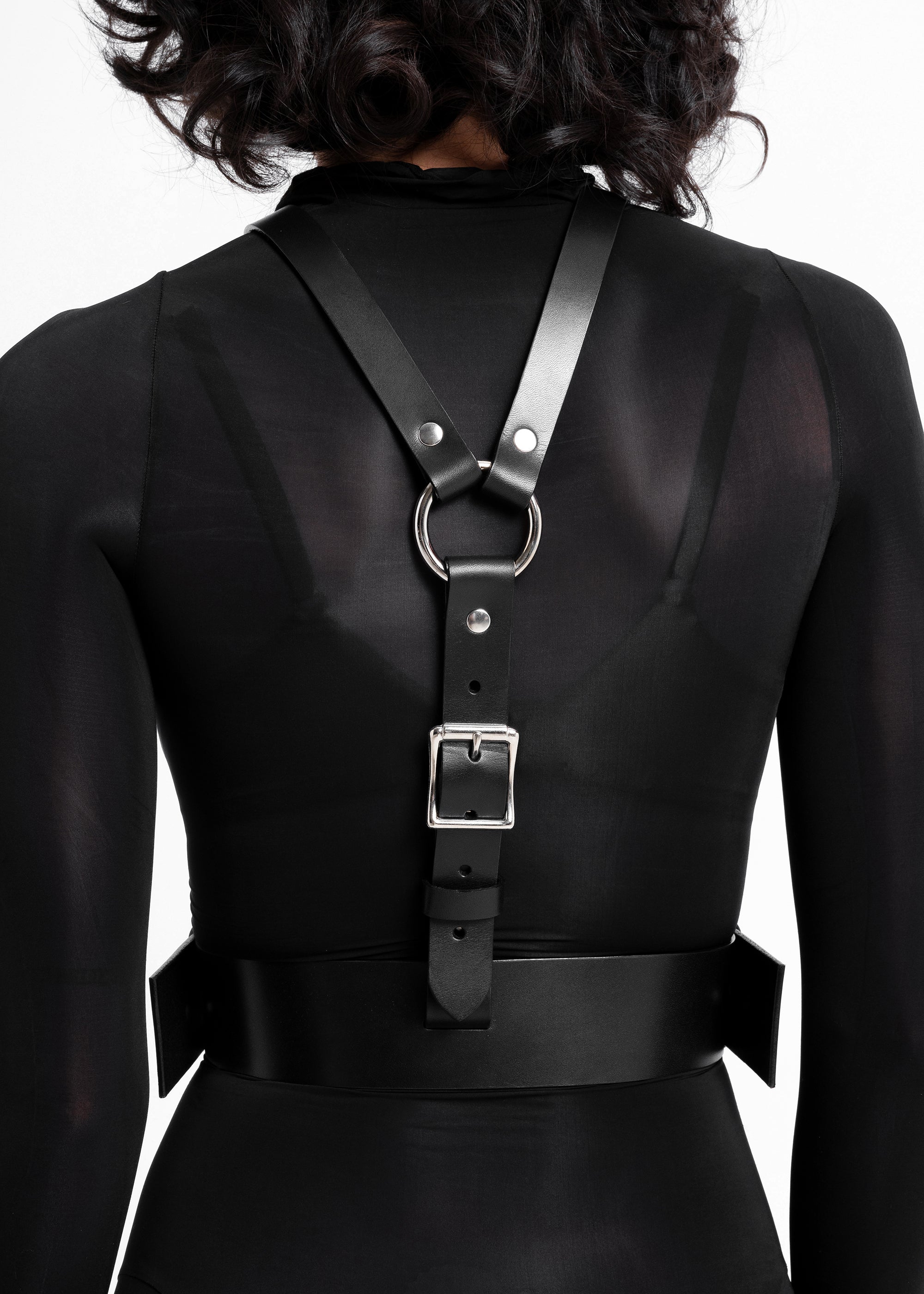 Gemini Harness