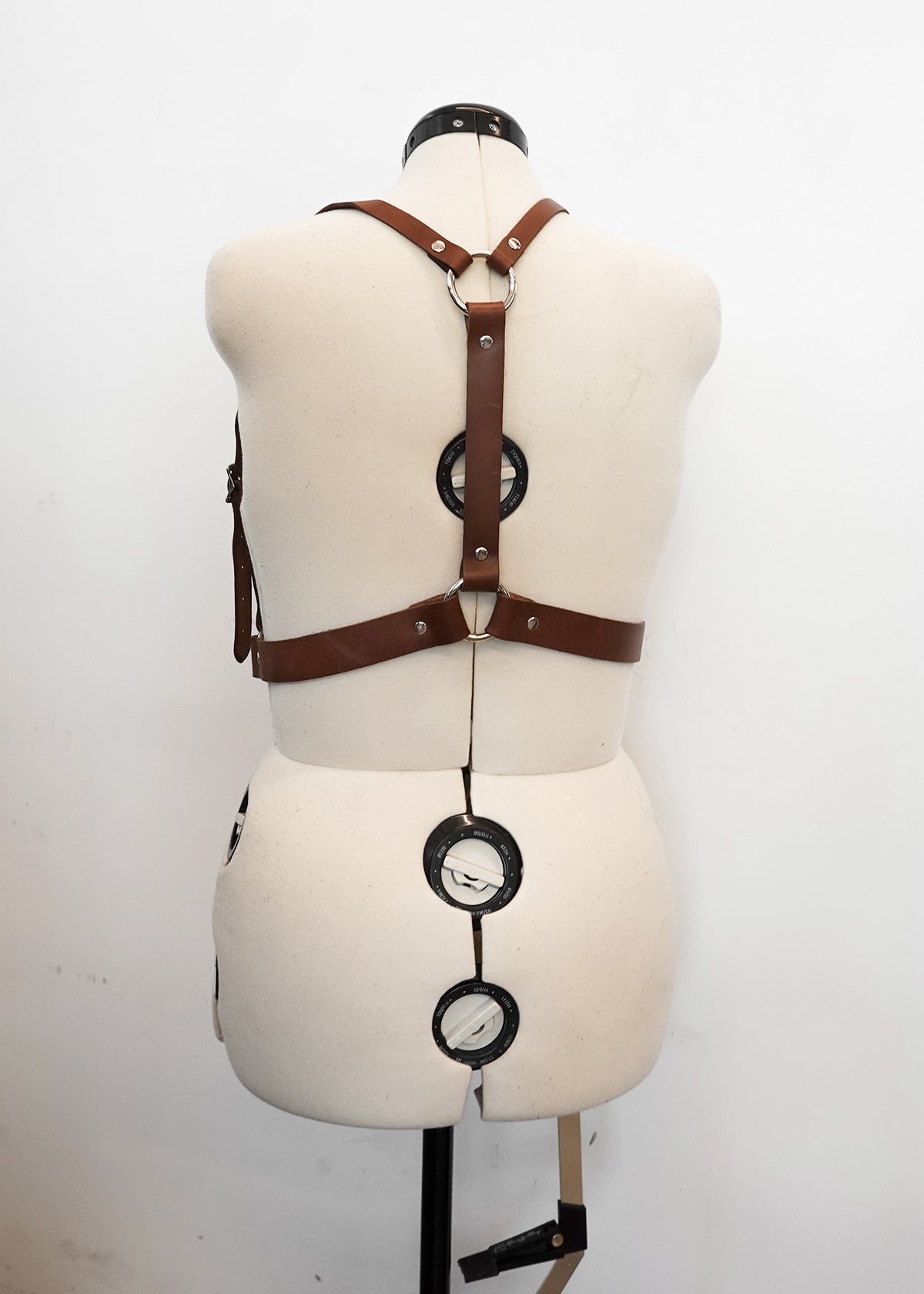 Signature Harness - XL