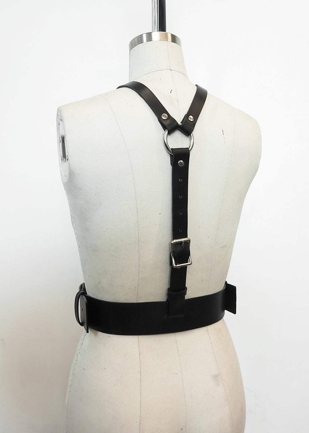SAMPLE H02 - Gemini Harness - S