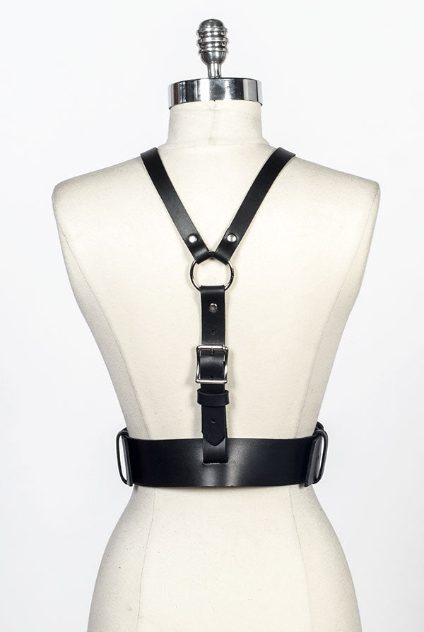 Gemini Harness